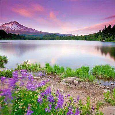 宏力医疗管理公布将继续停牌